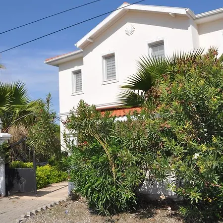 Blue House *